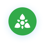 Green circle with white abstract shape.
